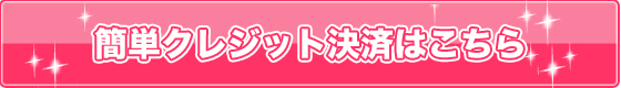 �N���W�b�g�ē�